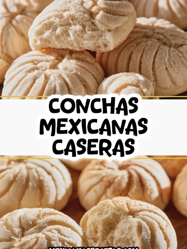 Conchas mexicanas esponjosas y deliciosas receta fácil